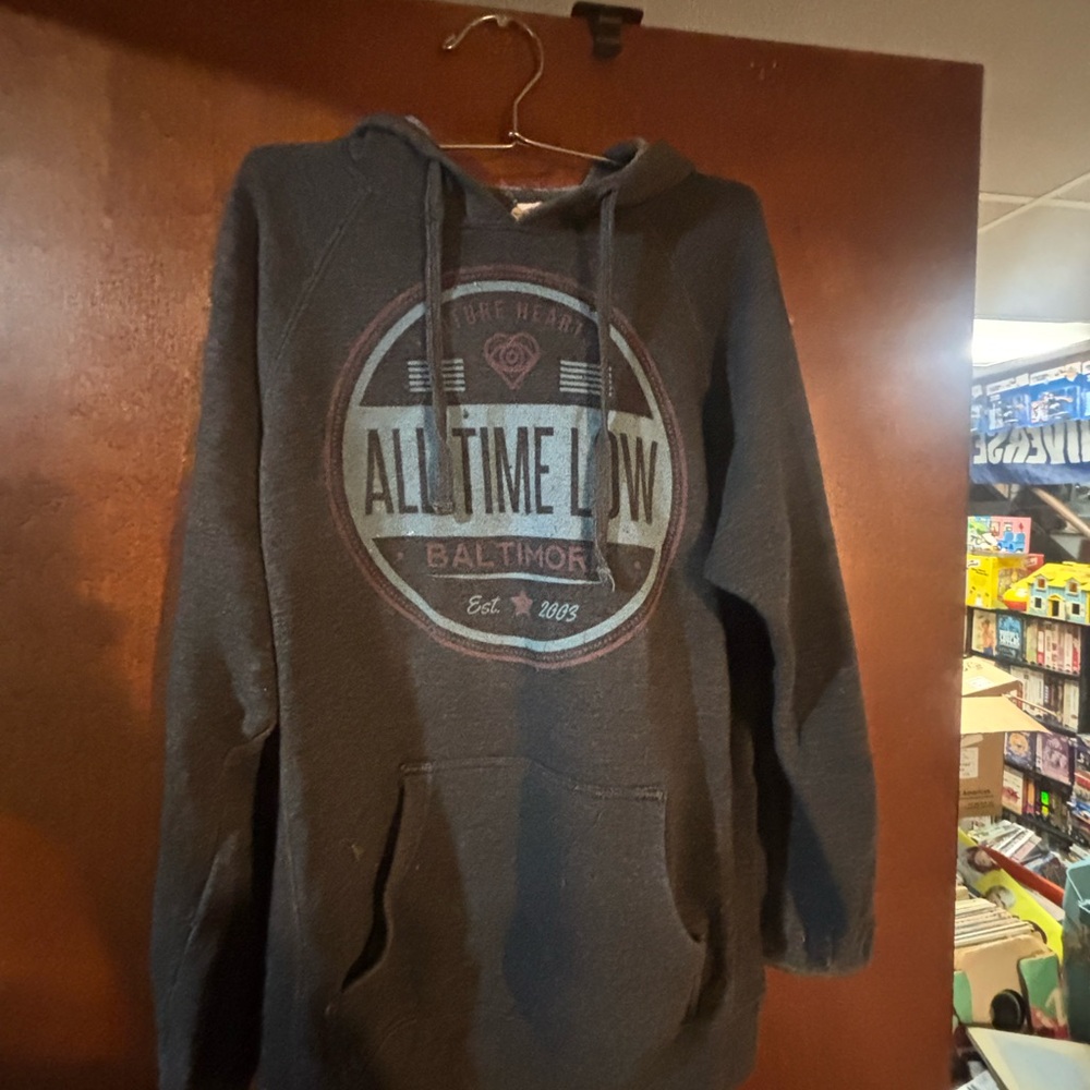 Gray Hoodie Sweater All Time Low Future Hearts